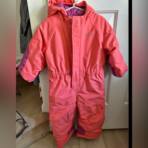 Patagonia Other - 2T Patagonia Snowsuit